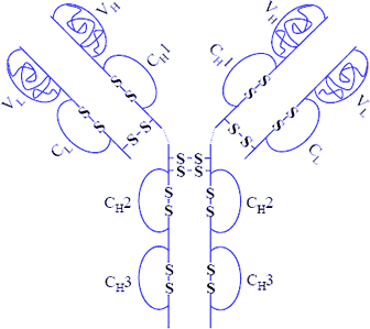 2D representation of the active ingredient's molecular structure