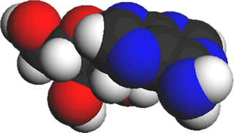 3D representation of the active ingredient's molecular structure