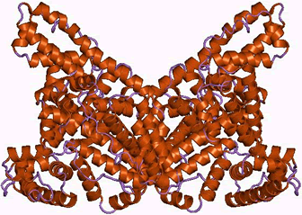 3D representation of the active ingredient's molecular structure