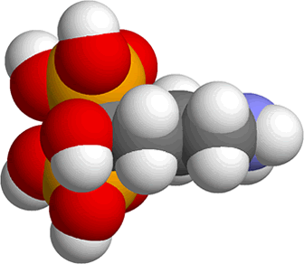 3D representation of the active ingredient's molecular structure