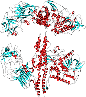 3D representation of the active ingredient's molecular structure