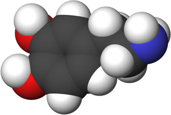 3D representation of the active ingredient's molecular structure