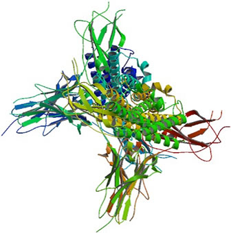 3D representation of the active ingredient's molecular structure