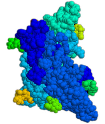 3D representation of the active ingredient's molecular structure