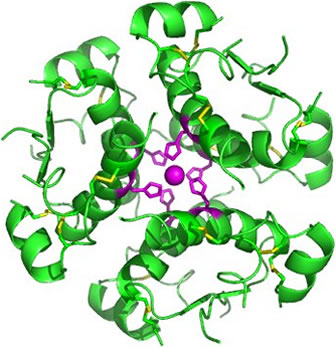 3D representation of the active ingredient's molecular structure