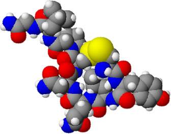 3D representation of the active ingredient's molecular structure