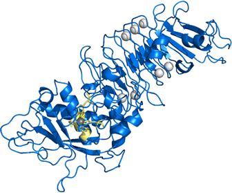 3D representation of the active ingredient's molecular structure