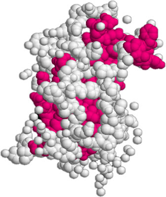 3D representation of the active ingredient's molecular structure